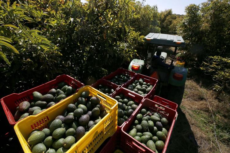 What could get more expensive if Trump launches a new trade war with Mexico and Canada