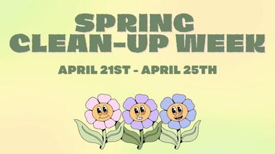 SPRING CLEANUP