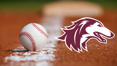 SIU Baseball Camp