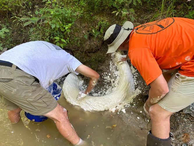 He stumbled onto a large tusk in a Mississippi creek. It turned out to be a first-of-its-kind discovery
