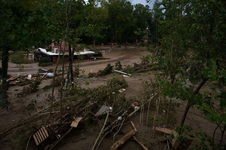 A symbol of resilience and hope: White House Christmas tree chosen from North Carolina area hit hard by Hurricane Helene