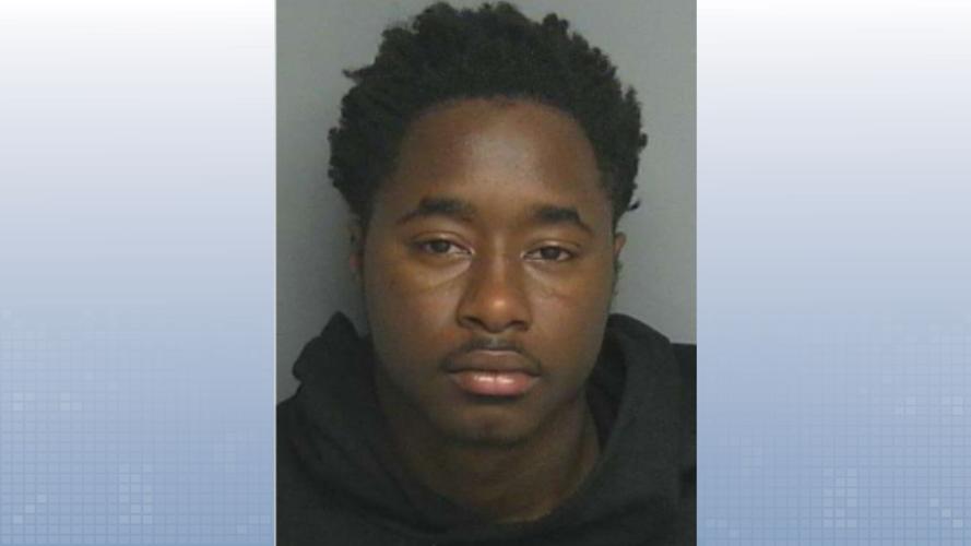 Parks mugshot