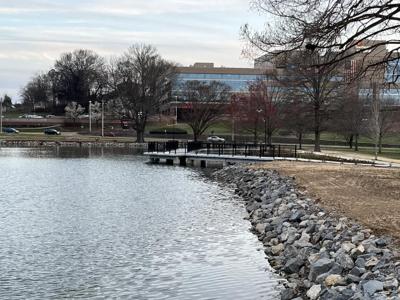 pond 3.jpg