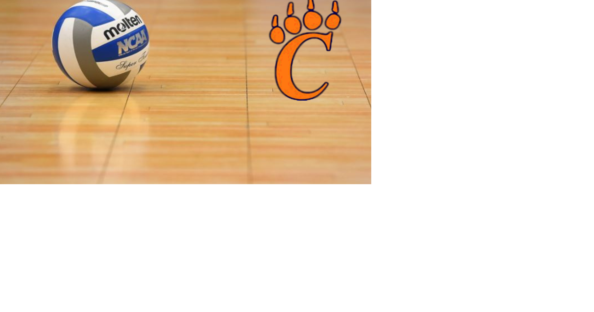 Carterville High School Holds Lil Lions Volleyball Camp Sports