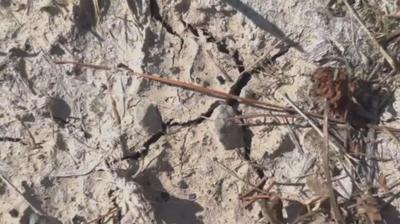 Dry Ground