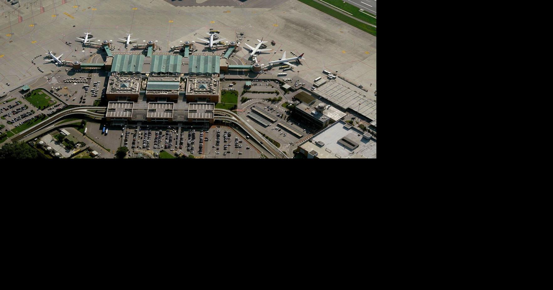 Seagulls close Venice airport