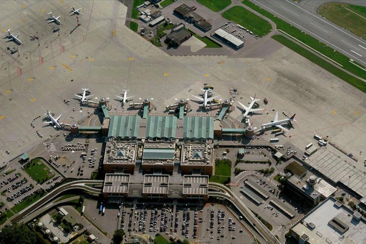 Seagulls close Venice airport