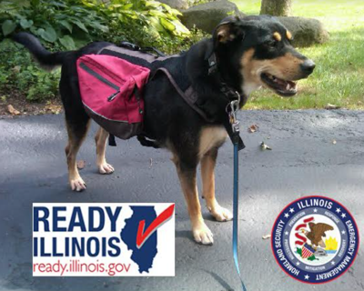 June is Pet Preparedness Month, Illinois EMA urges everyone to have a plan