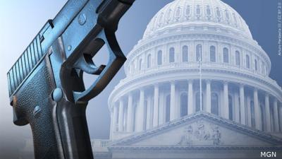 Guns (Politics, Capitol, Reform, Control)