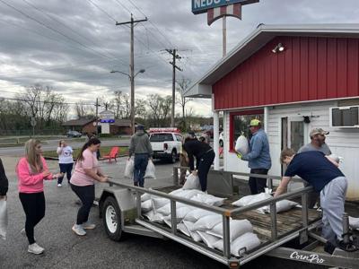 Vienna sandbagging