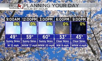 Hourly Forecast