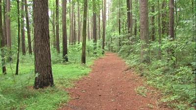 On The Trail:  Cedar Falls at Camp Ondessonk