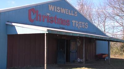 Wiswell's christmas trees