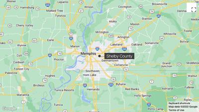 Family dogs maul to death toddler and baby brother in Tennessee, sheriff says