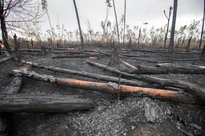 Two wildfires in the Florida Panhandle are now 95% contained, forest service says