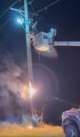 Raccoons cause utility pole fire in southern Illinois