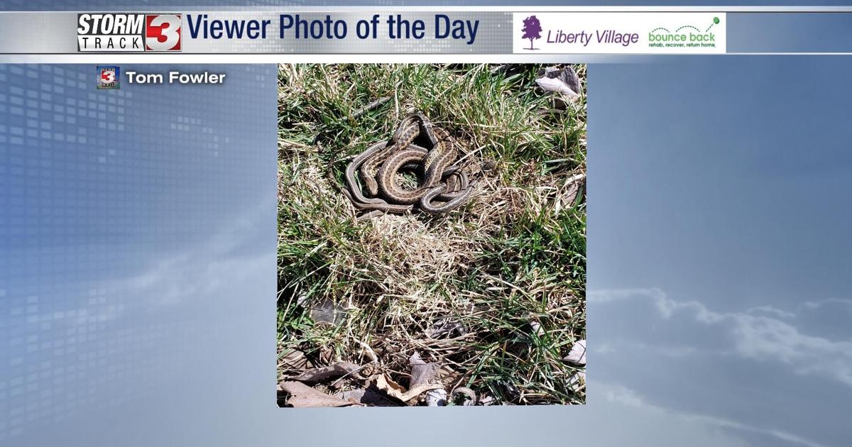 Photo Of The Day April 21st Photo Of The Day Wsiltv photo-of-the-day-april-21st-photo-of-the-day-wsiltv
