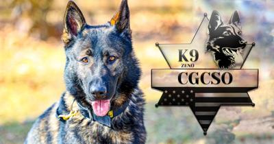 K9 zeno