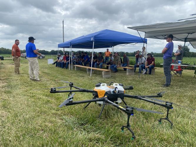 SIU Belleville Field Day