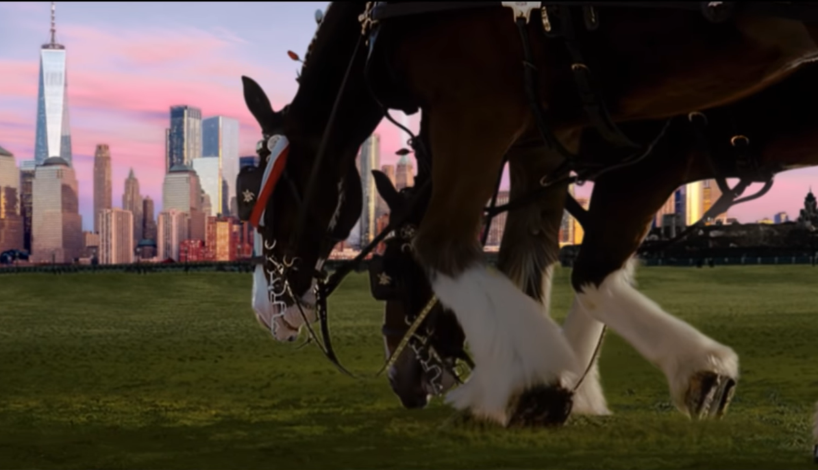 Budweiser updates “Respect” ad for 20th anniversary of 9/11 | News |  wsiltv.com