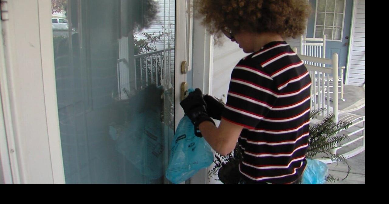 Herrin boy scouts kick off annual food drive News