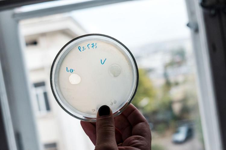 Superbug crisis threatens to kill 10 million per year by 2050. Scientists may have a solution
