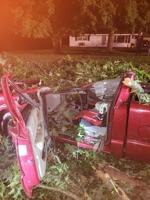 One person hurt after tree falls on vehicle in Johnson County