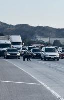 Video of Bear Halting Traffic on 14 Freeway near Los Angeles