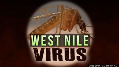 West Nile virus