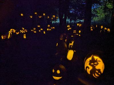 Carbondale Pumpkin Glow at Oakland Nature Preserve
