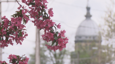 Springfield capitol building in background