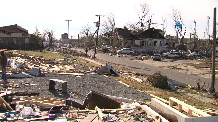 Cat Who Survived Tornado Is Found Sitting on Pillow Amongst Debris