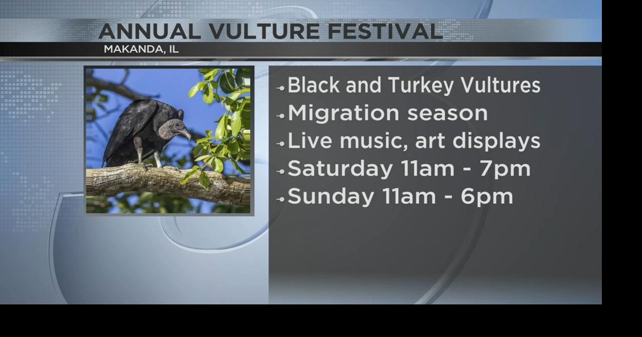 Annual Vulture Festival this weekend in Makanda Video