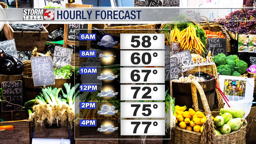 Hourly forecast today