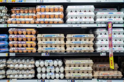 High egg prices send profits at largest US producer soaring more than 700%