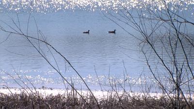 Lake Grassy Lake