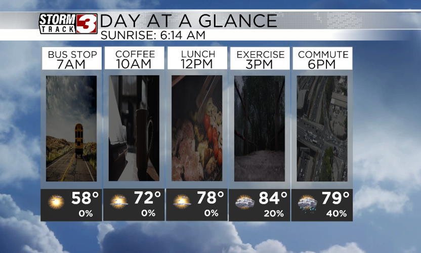 Hourly forecast