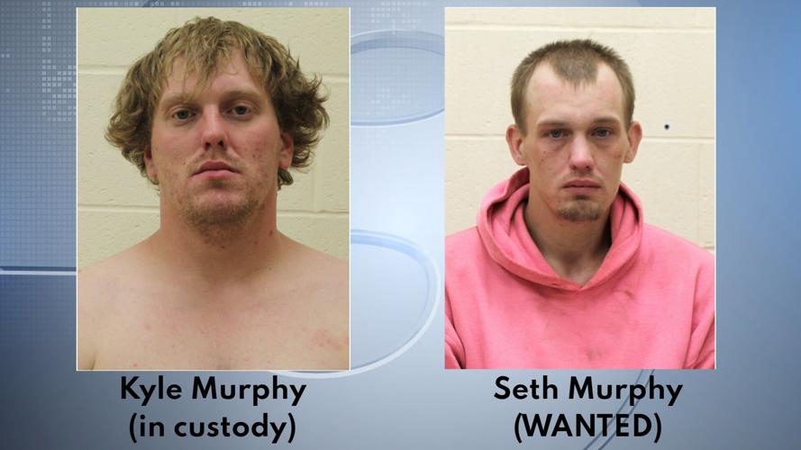 zeigler assault suspects