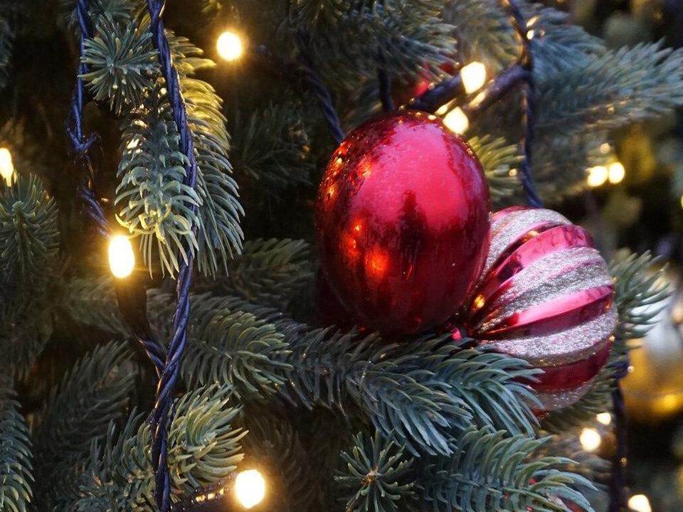 Franklin Indiana Christmas Parade 2022 Du Quoin Hosting Inaugural Santa's Holiday Parade And Tree Lighting | News  | Wsiltv.com