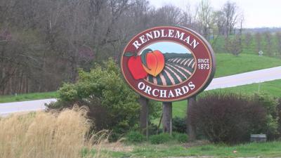 Rendleman PKG