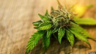 recreational marijuana