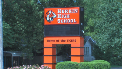 herrin web