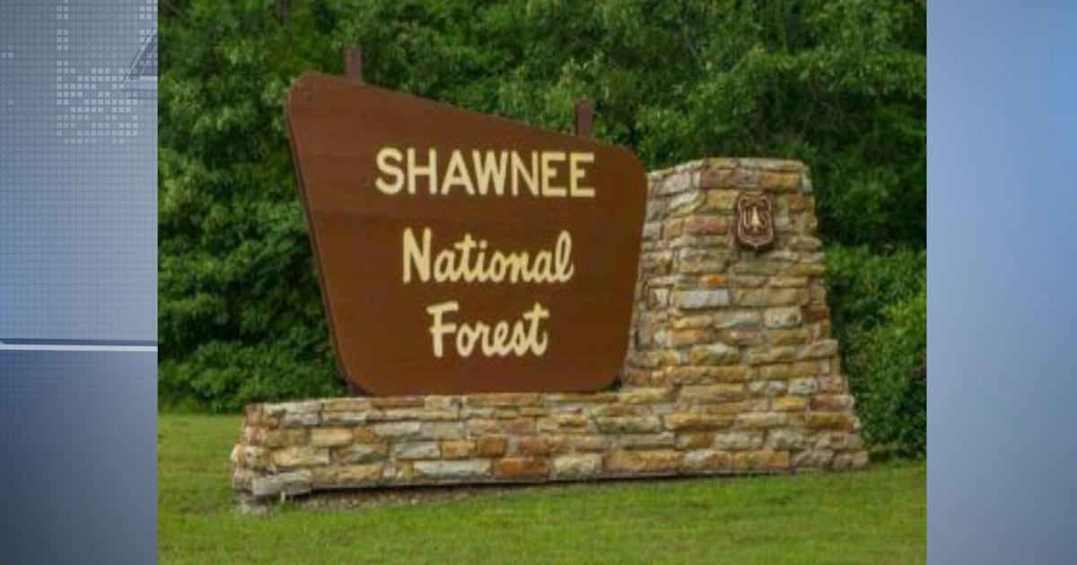 Shawnee National Forest plans prescribed burns in Southern Illinois ...