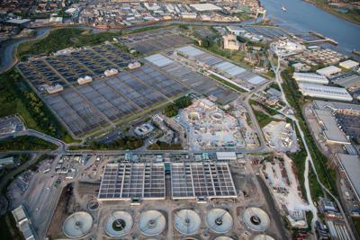 Poliovirus identified in London sewage, says UK health agency