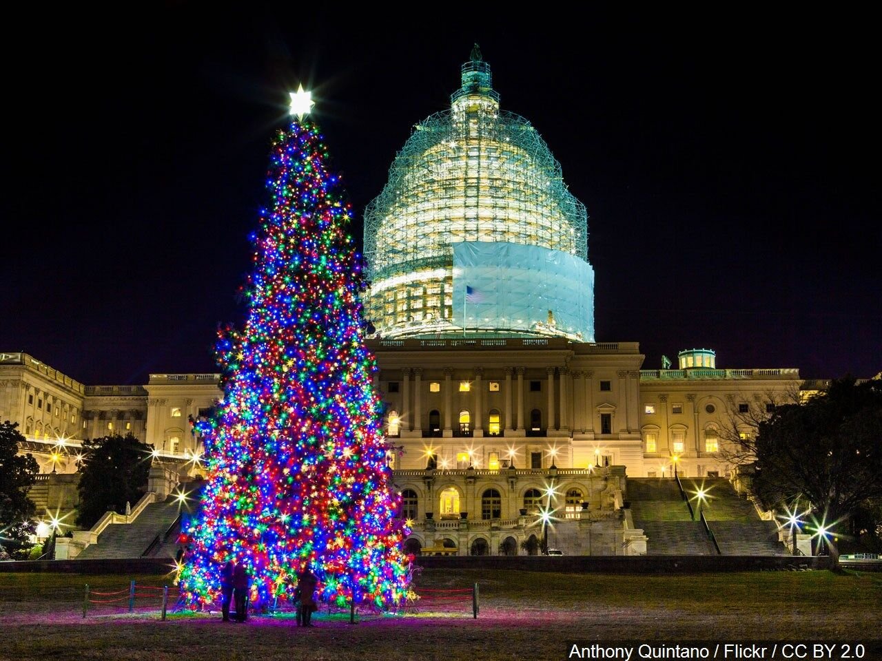 U.S. Capitol Christmas Tree to travel through southern Illinois