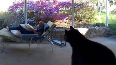 Bear scare: North Carolina man in shock after encounter with an equally startled bear