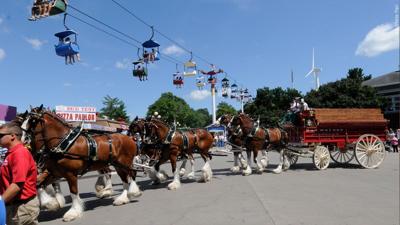 Clydesdales.jpg