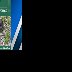 Snake Road closes for seasonal wildlife migration