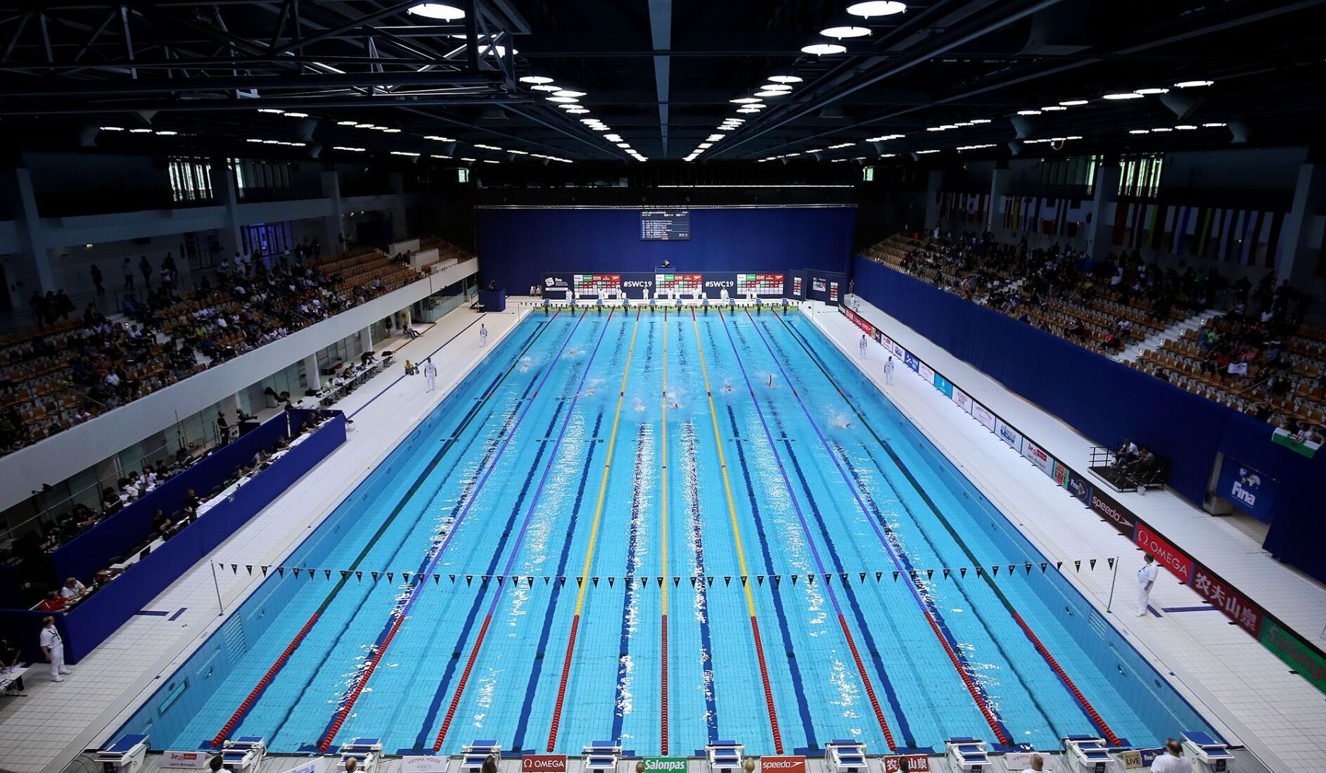 World Aquatics launches open category for transgender athletes at Swimming World Cup News wsiltv