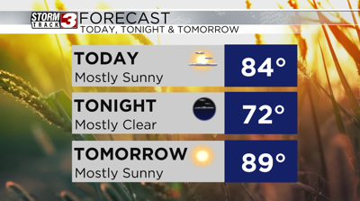 Forecast